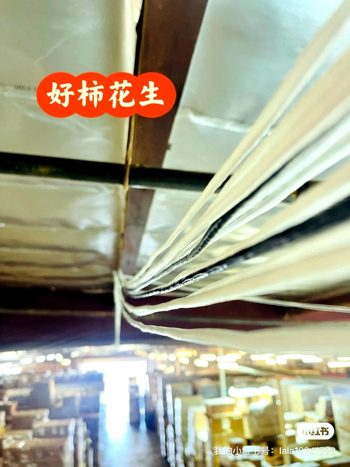 大型仓库天花布线，多路网线一起走